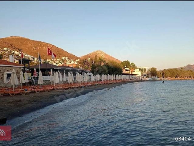 Bodrum, Muğla içerisinde satılık mülk