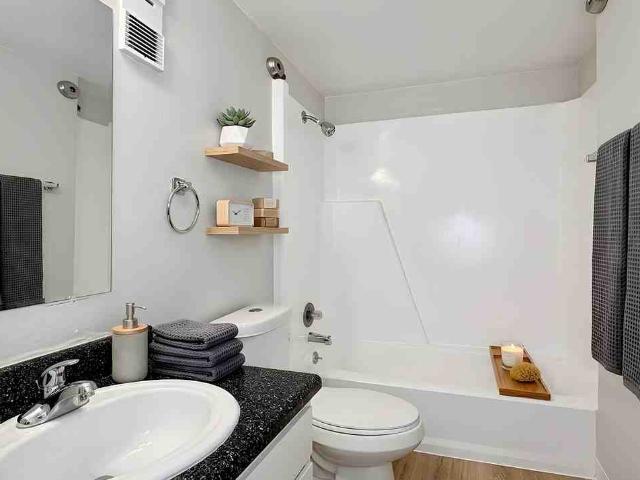 Apartment for rent in Largo, Florida