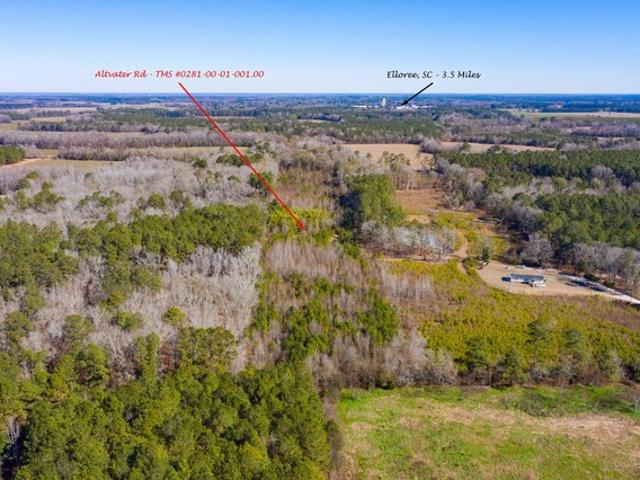 Land for sale in Elloree, South Carolina