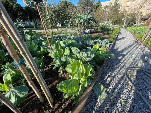 Apartamento alugar em Maia, Gueifães