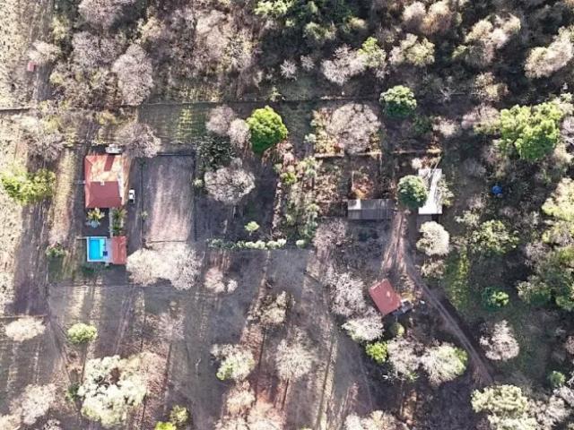 Fazenda aluguel em Região Geográfica Imediata de Goiânia, Bela Vista de Goiás