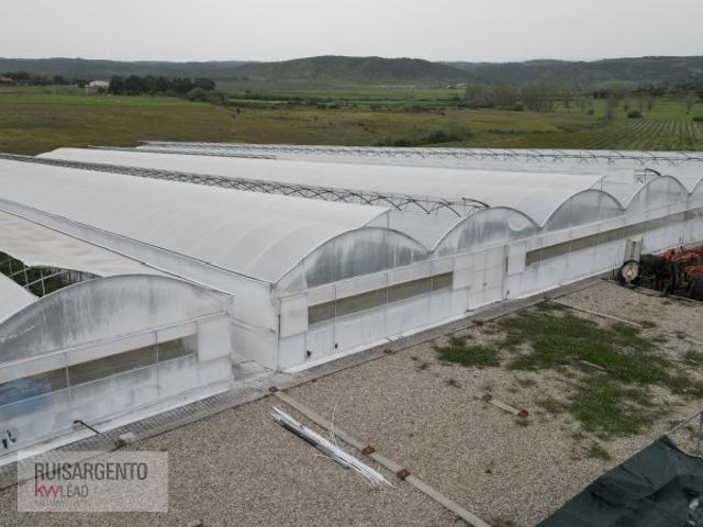 Terreno alugar em Castelo Branco, Idanha-a-nova