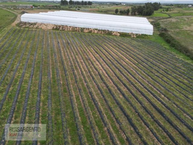 Terreno alugar em Castelo Branco, Idanha-a-nova
