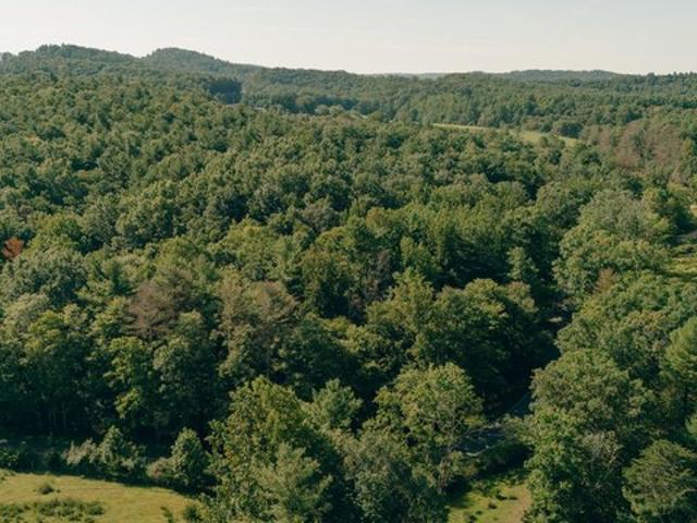 Land for sale in Virginia