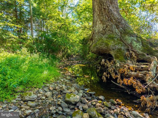 Land for sale in Virginia