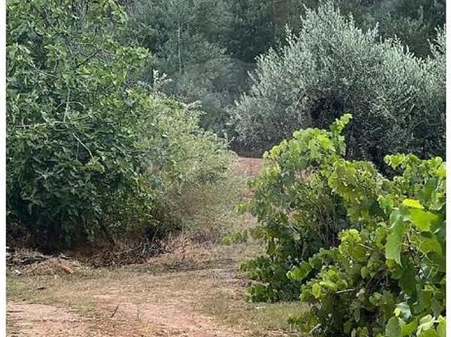 Terreno venda em Maçãs De Dona Maria, Leiria