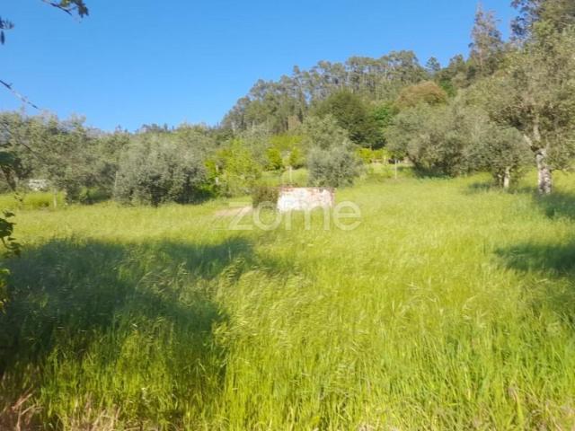 Terreno venda em Alvaiázere, Leiria