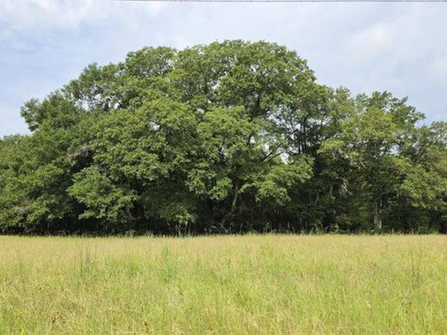 Land for sale in Georgia