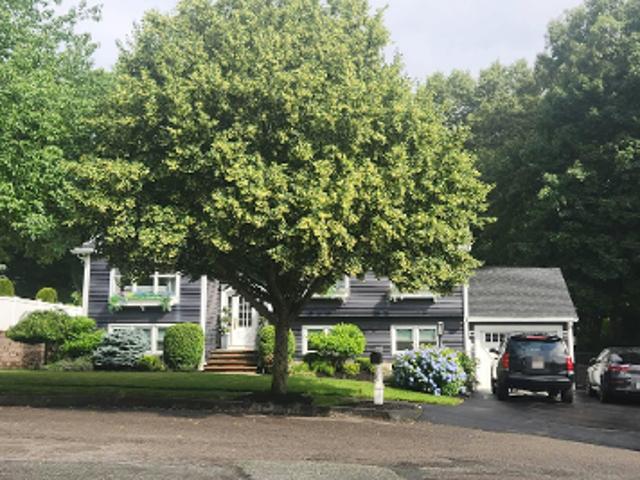 House for sale in Wakefield, Massachusetts