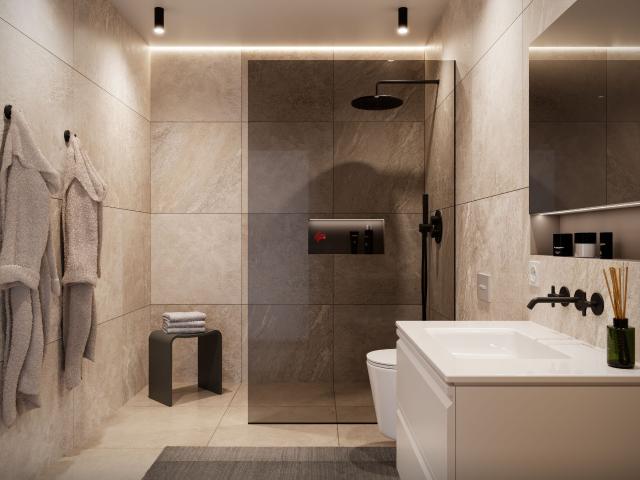 Apartment kaufen in Reinach (AG)