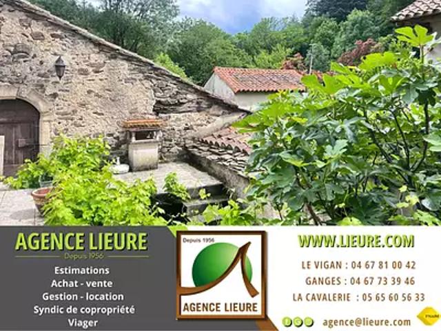 Maison vente à Le Vigan, Alzon