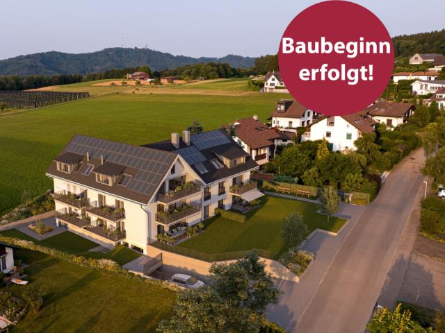 Etagenwohnung kaufen in Aesch (ZH)