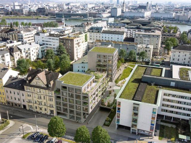 Apartment kaufen in Linz, Alt-Urfahr