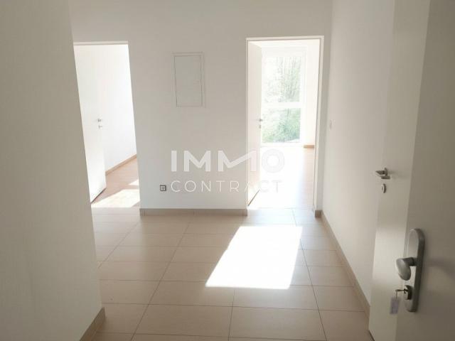 Wohnung mieten in Texing, Texingtal