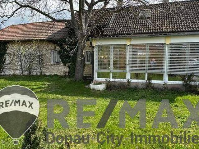 Haus kaufen in Wiener Neudorf, Niederösterreich