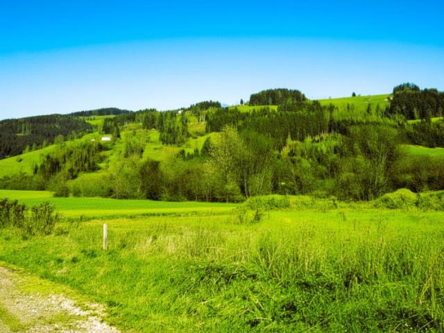 Grundstück kaufen in Bad St. Leonhard im Lavanttal, Kärnten