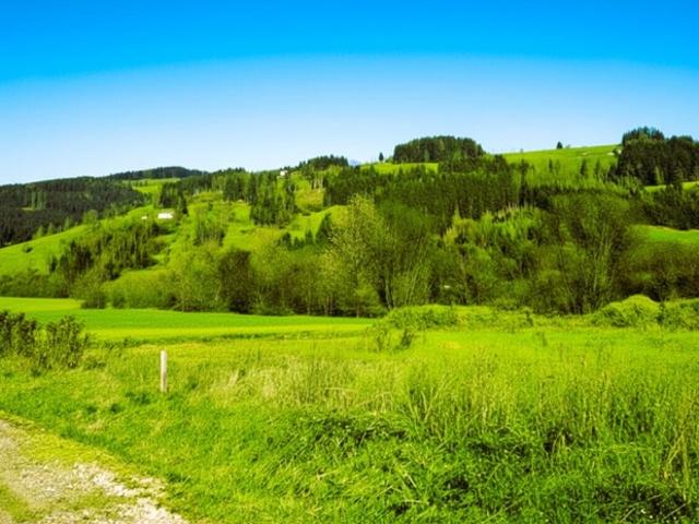 Gewerbe kaufen in Bad St. Leonhard im Lavanttal, Kärnten