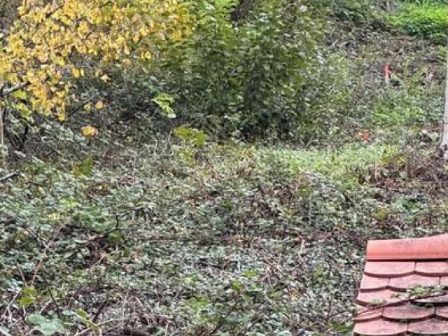 Erdgeschosswohnung kaufen in Leinsweiler, Rheinland-Pfalz