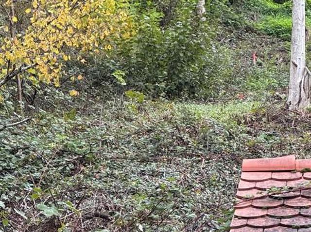 Erdgeschosswohnung kaufen in Leinsweiler, Rheinland-Pfalz