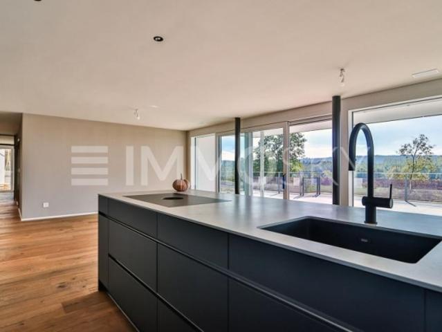 Einfamilienhaus kaufen in Eggenwil, Aargau