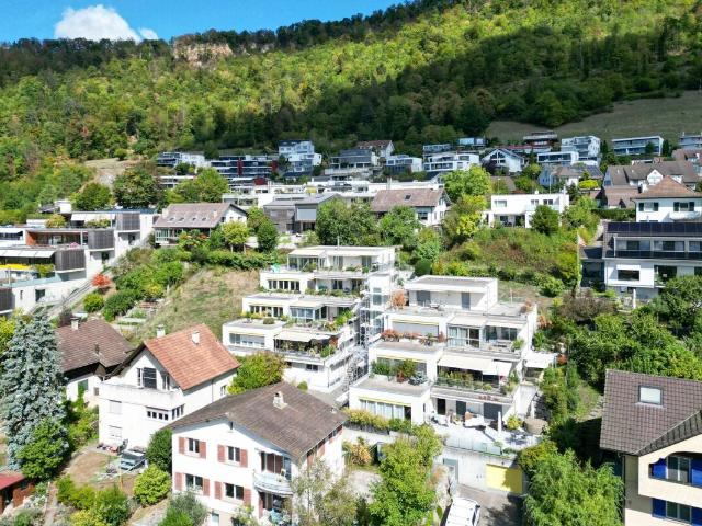 Wohnung kaufen in Pfauenhof, Liestal