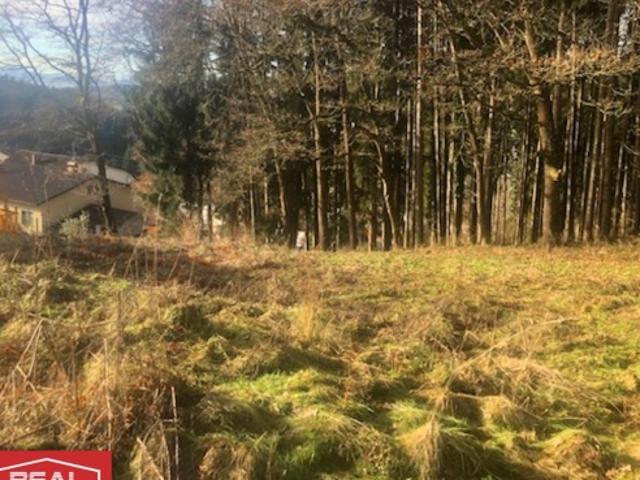 Grundstück kaufen in Ampflwang im Hausruckwald, Bezirk Vöcklabruck