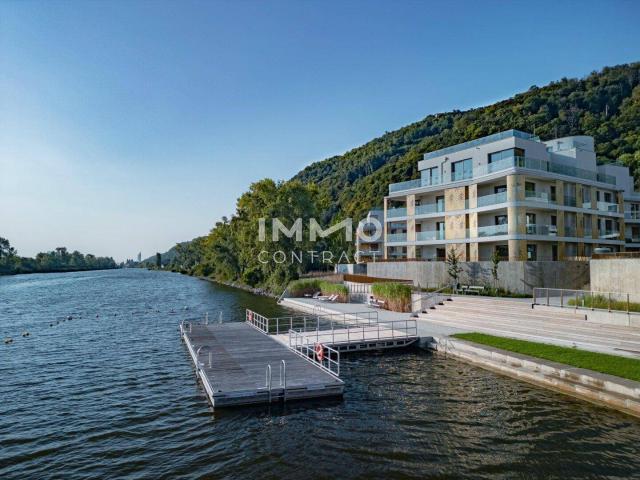 Apartment kaufen in Döbling, Wien