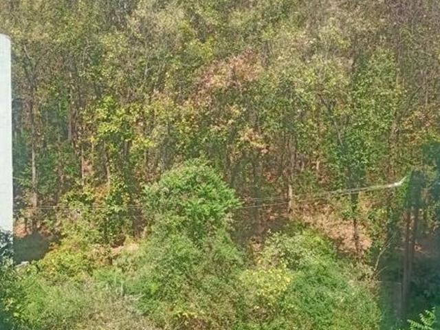 Land for sale in Kedarpur, Uttarakhand