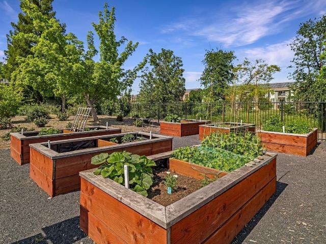 Apartment for rent in Butte, California