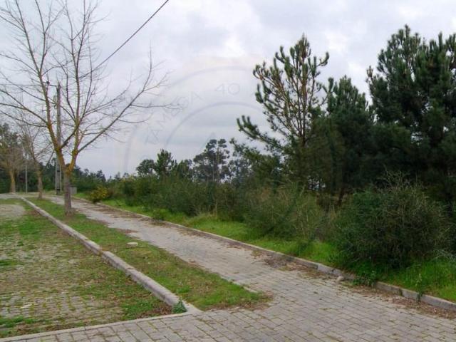 Terreno venda em Amarante, Porto