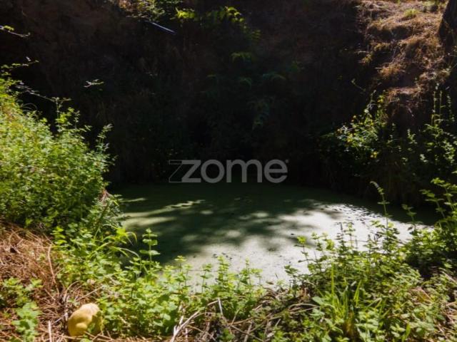 Terreno venda em Amarante, Porto