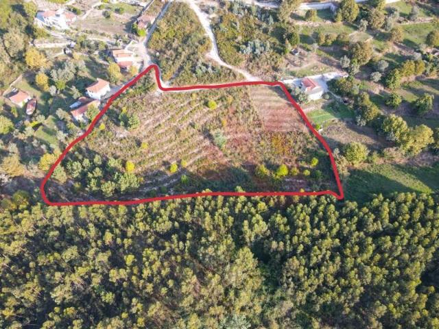 Terreno venda em Moreira de Cima, Amarante