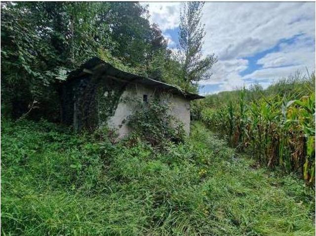 Terreno venda em Amarante, Porto