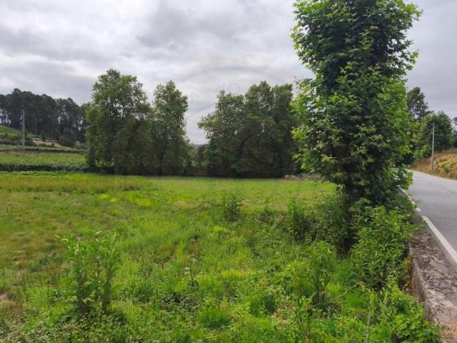 Terreno venda em Barral, Amarante