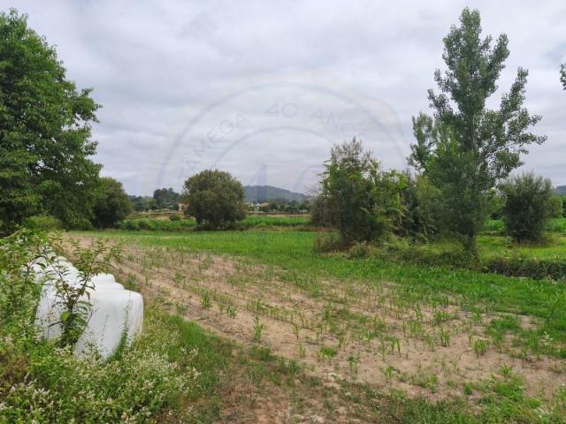 Terreno venda em Matouce, Amarante