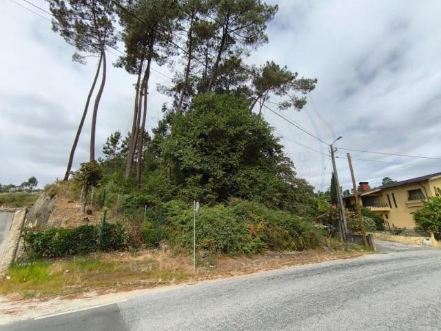Terreno venda em Amarante, Porto