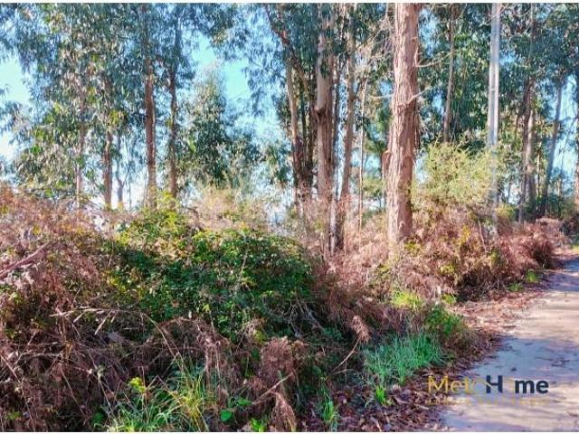 Terreno venda em Amarante, Porto