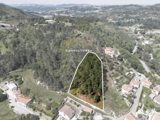 Terreno venda em Amarante, Porto