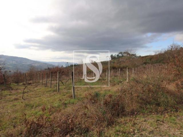 Terreno venda em Amarante, Porto