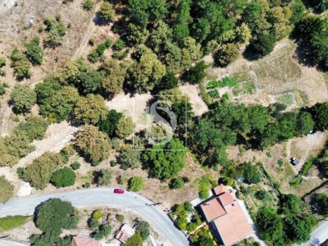 Terreno venda em Amarante, Porto