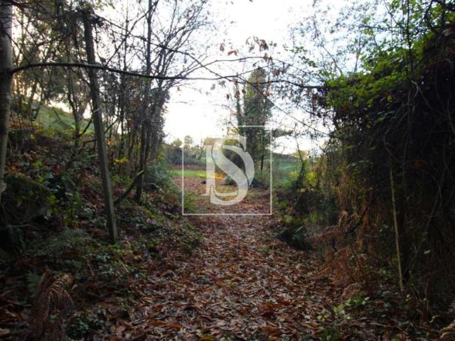 Terreno venda em Amarante, Porto