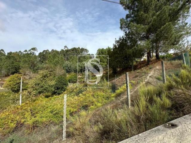 Terreno venda em Amarante, Porto