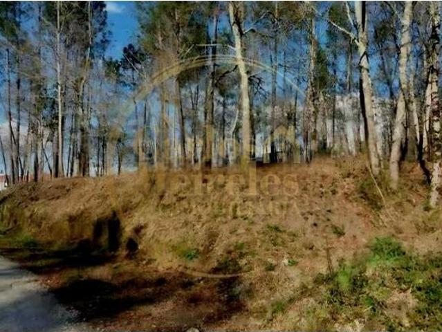 Terreno venda em Amares, Braga