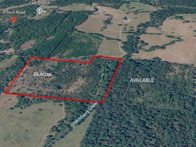 Land for sale in Apple Springs, Texas