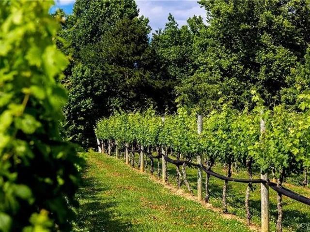 Land for sale in New Kent Land for sale in New Kent