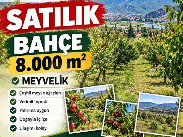Amasya, Duruca içerisinde satılık mülk