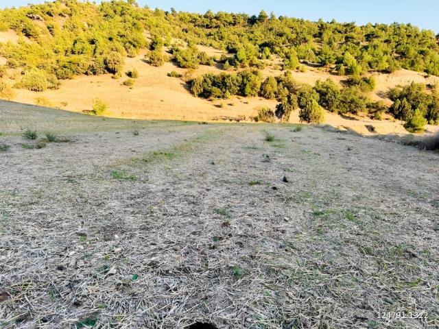 Damlaçimen, Göynücek içerisinde satılık Arsa