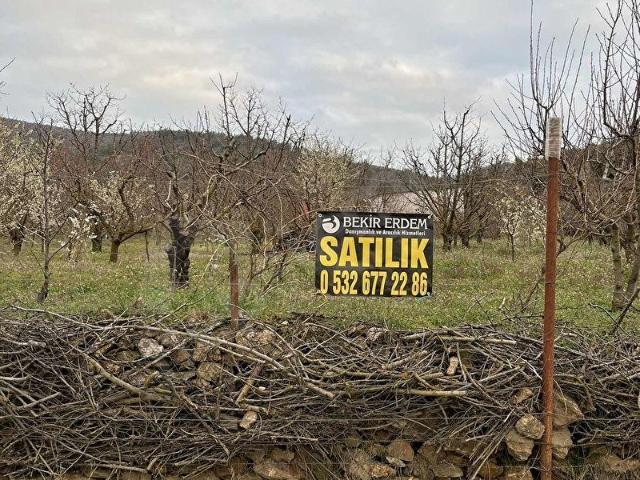 Amasya Merkez, Amasya içerisinde satılık mülk