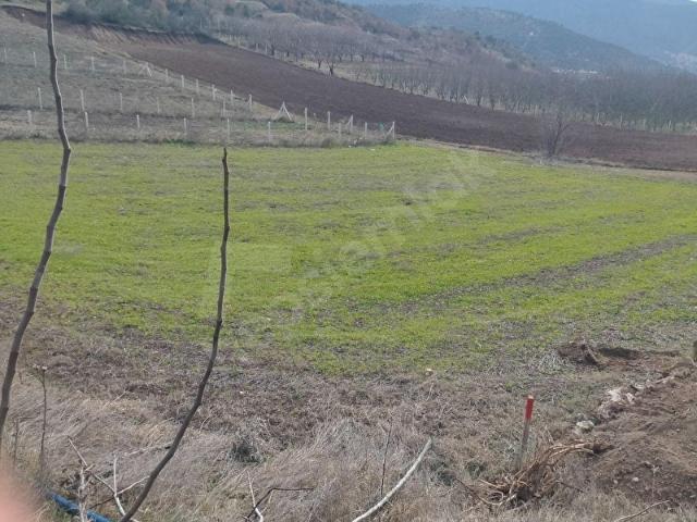 Amasya Merkez, Amasya içerisinde satılık Arsa