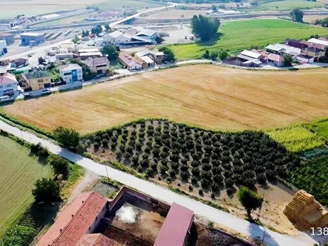 Kılıçaslan, Suluova içerisinde satılık Arsa